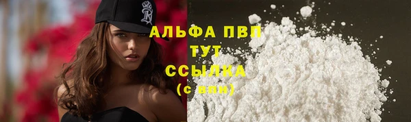 прущие крисы Богородицк